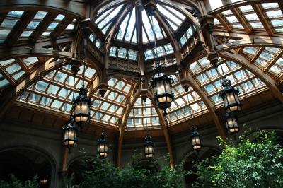 Winter garden ceiling