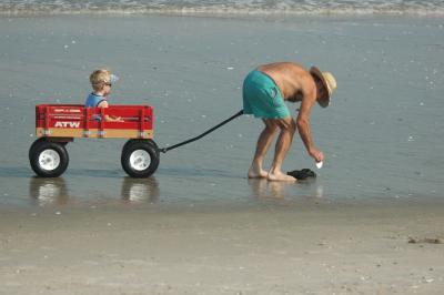 Planting Sand Dollars for others to find