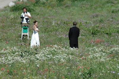 Wedding photo in the flowers