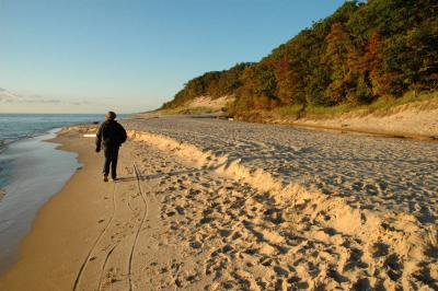 Looking North along Lake Michigan Shoreline