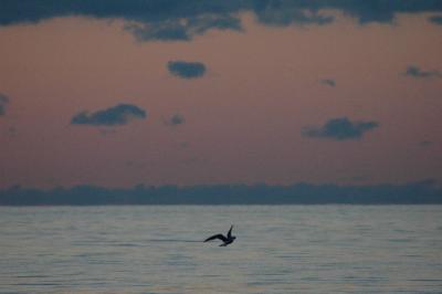 Lake Michigan Sunset  4