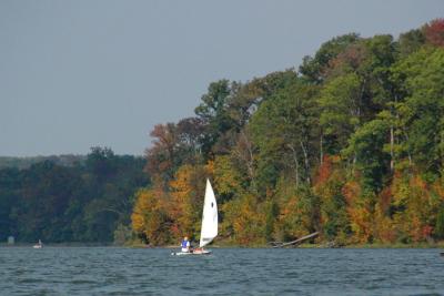 Sunfish Sailboat on Acton Lake