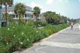 Mansions along the harbor