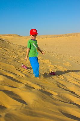 Sand dunes, Southern Negev