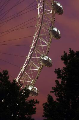 The Eye at Night