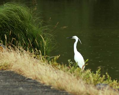 DSC_4927.jpg