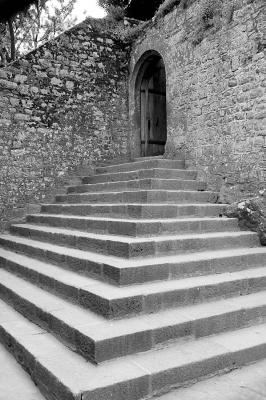 DSC_4569bw.jpg