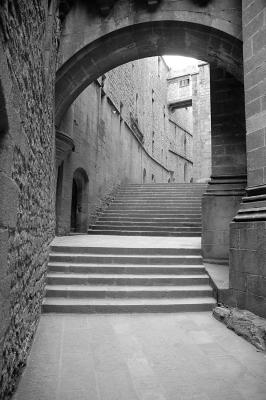 DSC_4576bw.jpg