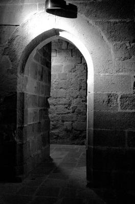 DSC_4615bw.jpg