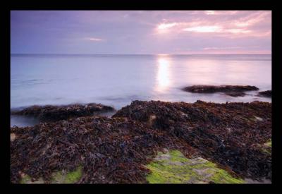 v3/20/512420/3/49378744.BembridgeDSC_6797.jpg