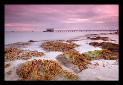 Places and Landscapes on the Isle of Wight