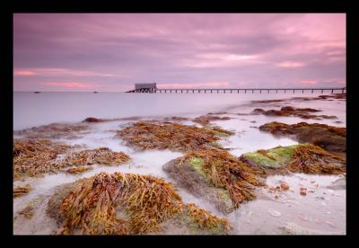 Bembridge Dawn