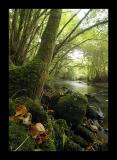 River Exe, just south of Exeter