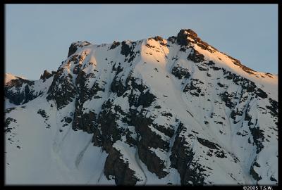 Swiss/Austrian Alps