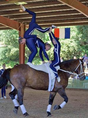Australian Team