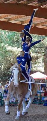 Tambourine Composite Team