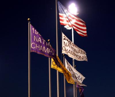 flags1a3.jpg