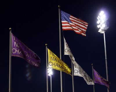 flags3a3.jpg
