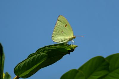 IMG_2957a.JPG