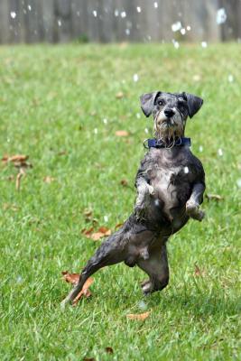 IMG_4657a.JPG