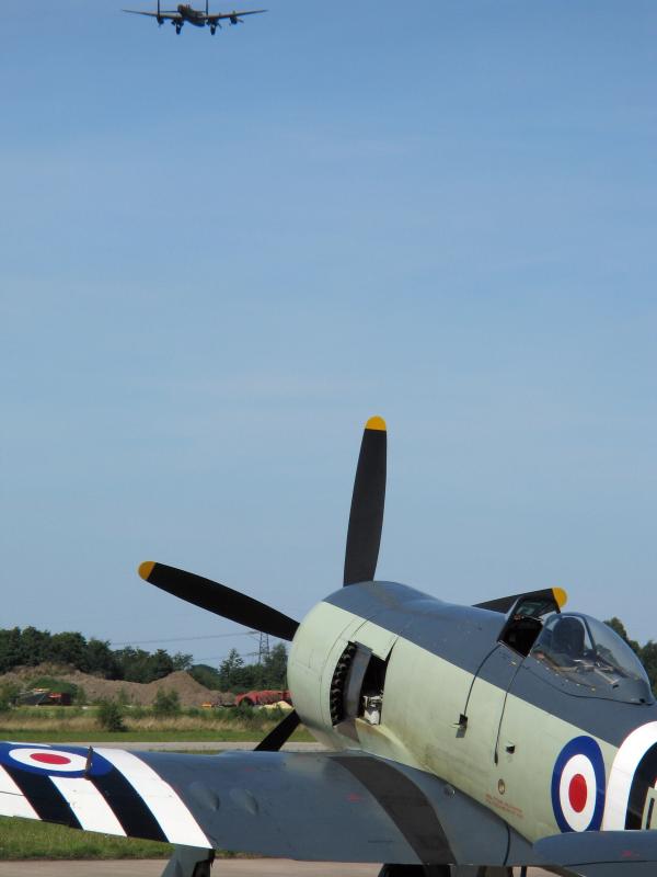 sea fury 3.jpg