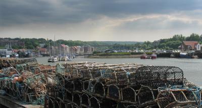 v3/20/552420/3/44903508.whitby12.jpg