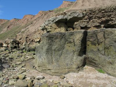 v3/20/552420/3/48386351.filey2.jpg