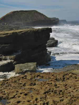 v3/20/552420/3/48386353.filey4a.jpg