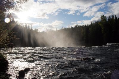 102IMG_5881dawsonfalls.jpg