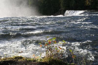 103IMG_5892dawsonfalls.jpg