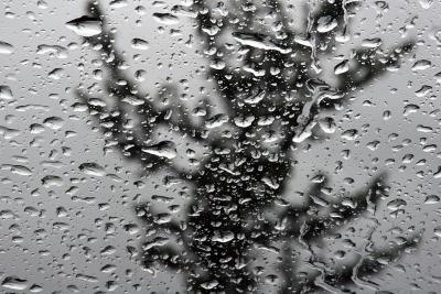 113IMG_6021rainwait.jpg