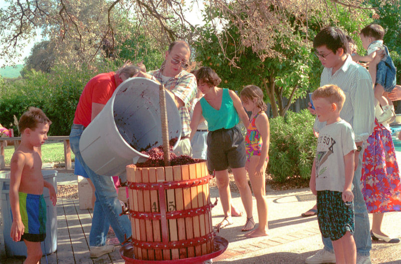 Wine-making as a Family Activity