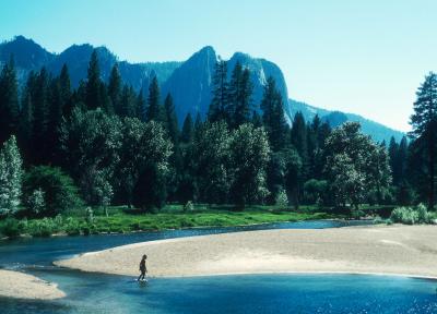 Yosemite National Park - Not Bigfoot