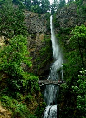 v3/20/587120/3/48793077.MultnomahFalls20.jpg
