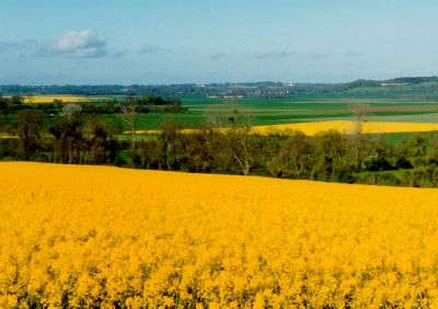  Normandy in Springtime