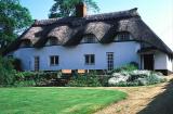 English Cottage with Thatched Roof