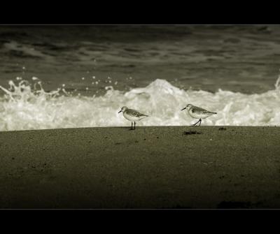 ...beach walk...