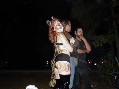 Here Kitty Kitty