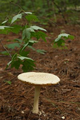 CRW_0284.jpg