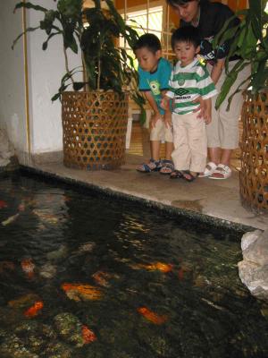 13_8_05_16.jpg