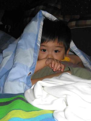 17_9_05a.jpg