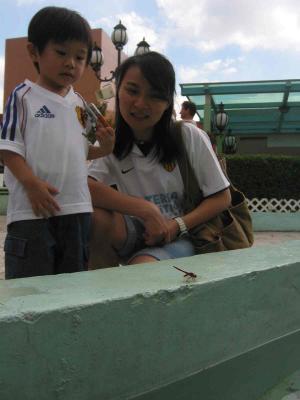 11_10_05a.jpg