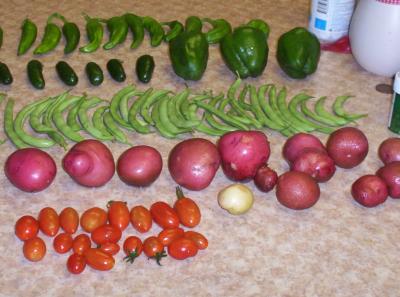 Our first real harvest of many things all on the same day. Yeah!!!  From our first grape tomatoe harvest on May 17 to Jun 20th I harvested 1,249 grape tomatoes off of only 6 bushes and a whopping 2,350 grape tomatoes by the time the harvest was over!