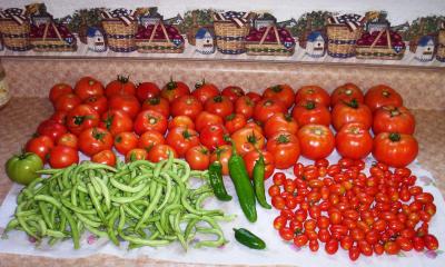 One day's harvest at the height of the 2-week heavy harvest season.  In all, during 2005 I harvested 445 regular tomatoes; 2,350 grape tomatoes; 122 bell peppers; 482 green chili peppers; 427 jalapeño peppers; 9 batches of green beans; 23 (very tall) green onions; 37 (very small) white onions; 65 carrots (mostly tiny) 30 brown potatoes (most were small), and 37 (new) red potatoes.  However, as impressive as the numbers were, the overall the quality wasn't.  Soon after this picture was taken we experienced very high temps during mandatory water rationing, so most of the numbers listed above were of quite smaller produce than the average size you'd see in a grocery store.  However, I still LOVED the thrill everytime I went out to see what was ready to harvest.