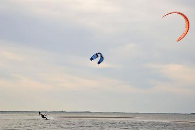_DSC1350.jpg