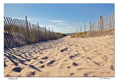 Footprints1.jpg