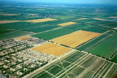 Fields near Urumqi