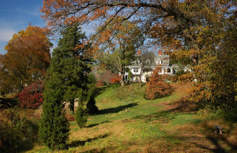 Cedarmere