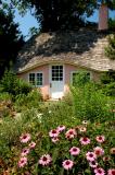 Planting Fields Arboretum