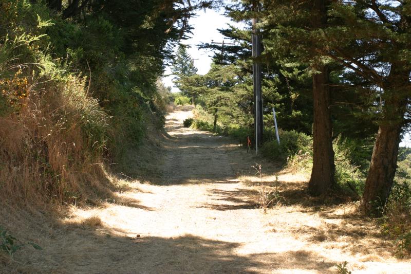 Looking North up driveway from lot